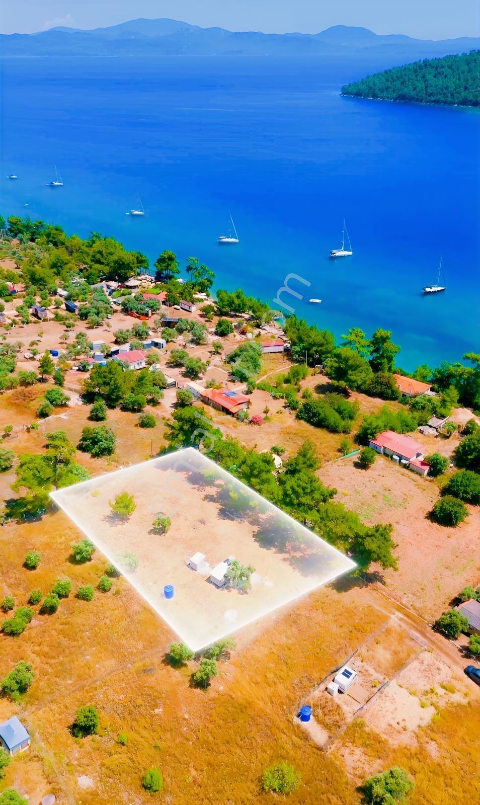 Muğla Akbük Sahilde Satılık 2.108 M2 Denize 103 Metre Tarla - Görsel 3