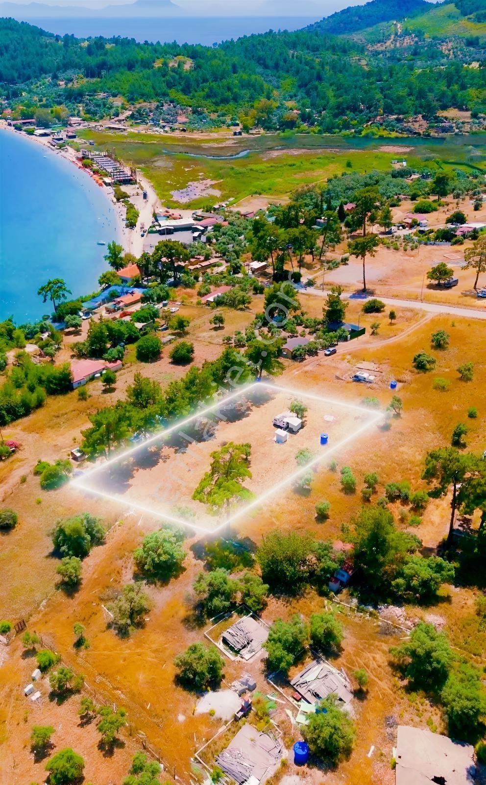 Muğla Akbük Sahilde Satılık 2.108 M2 Denize 103 Metre Tarla - Görsel 7