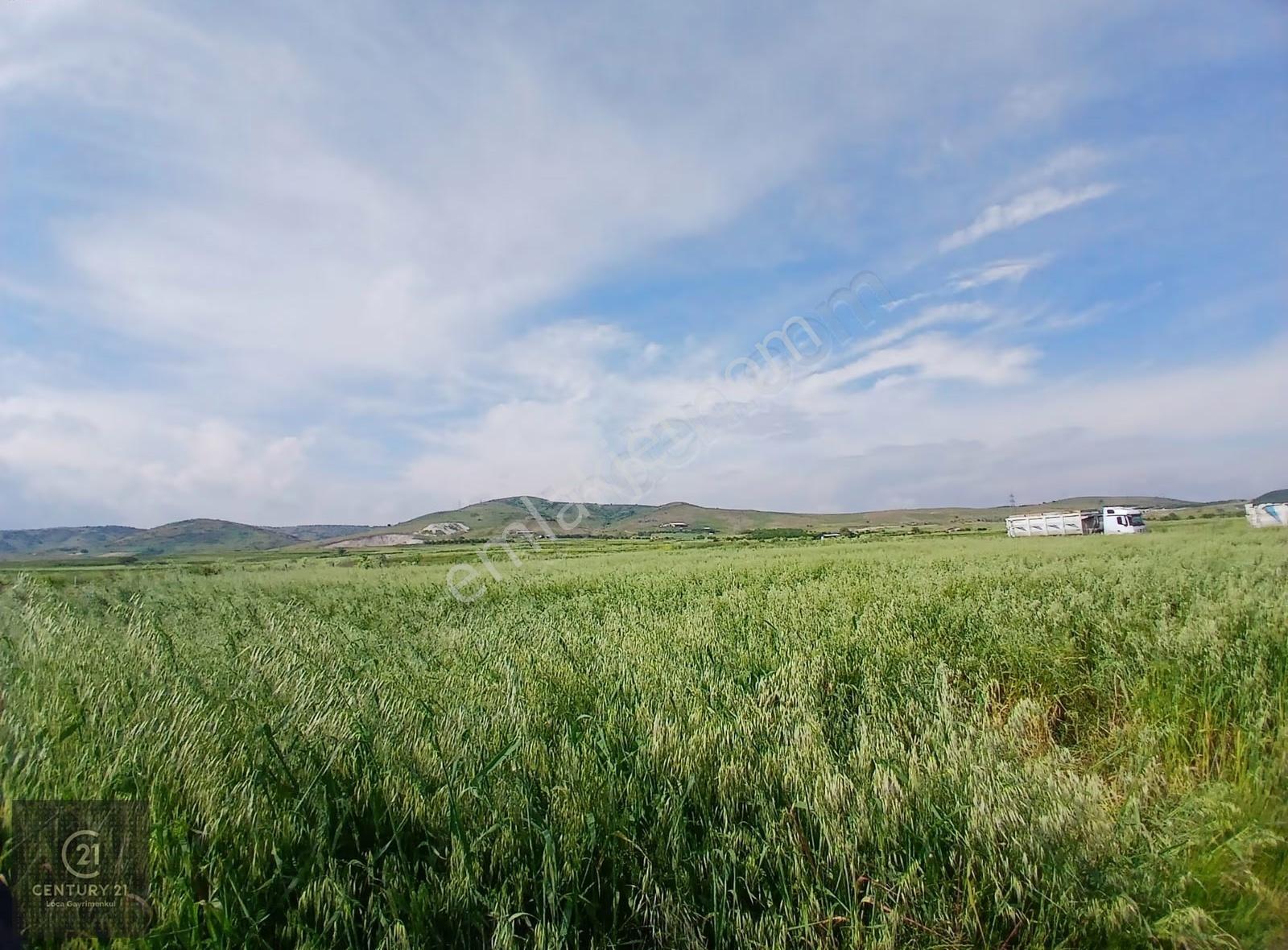 C21 Loca' Dan Altıeylül Köylü Mahallesinde 1775 M2 Satılık Tarla - Görsel 3