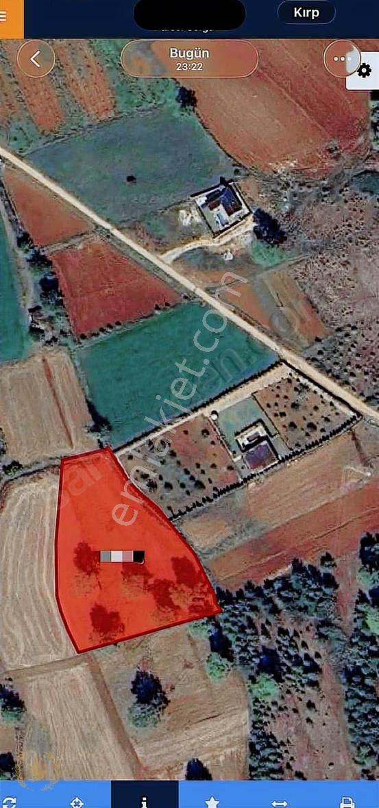 Seydikemer İlk Köyü Çobanlar Mah 5600mt Tarla Satılık
