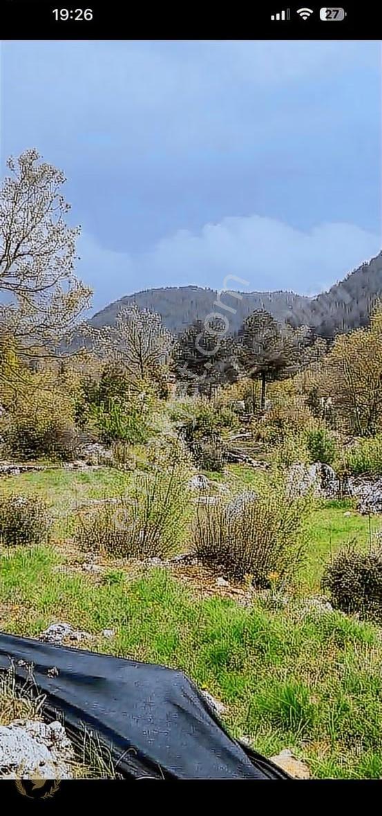 Fethiye Nif Mah Rızai Parsellenmiş 400mt Kare Yerimiz Satılık