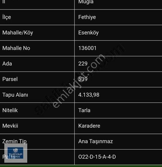 Muğla Fethiye Esenköy'de Satılık 1136 M2 Arsa - Görsel 4