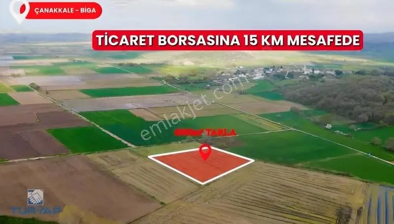 Çanakkale Biga Kahvetepe 5.999m2 Satılık Fırsat Tarla - Görsel 3