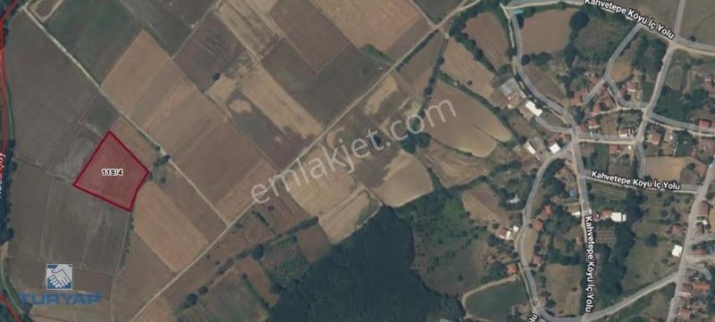 Çanakkale Biga Kahvetepe 5.999m2 Satılık Fırsat Tarla - Görsel 8