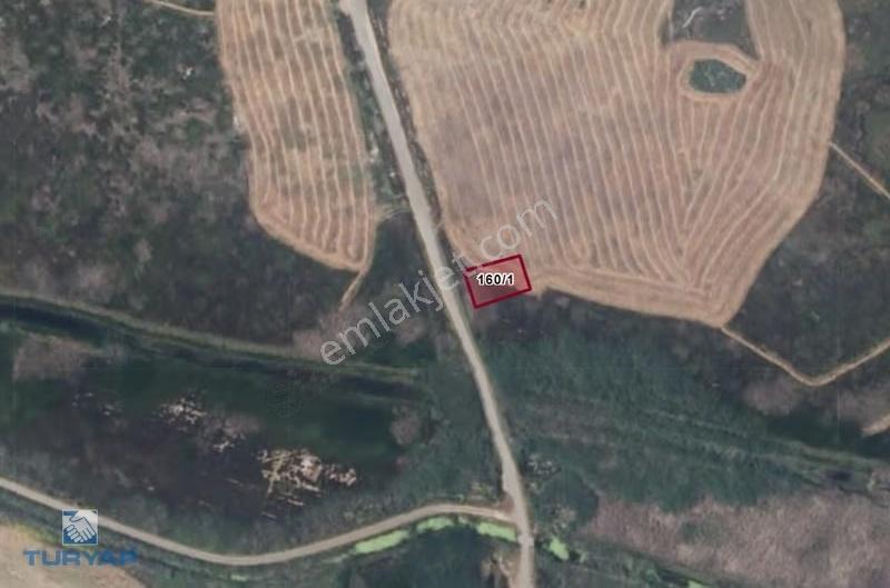 Çanakkale Biga Gerlengeç 394 M2 Satılık Deniz Arsası - Görsel 5