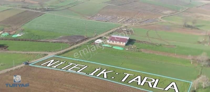 Çanakkale Biga Gemicikırı 3.192 M2 Köy İçi Satılık Tarla - Görsel 4