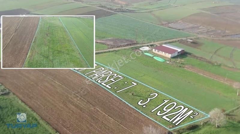 Çanakkale Biga Gemicikırı 3.192 M2 Köy İçi Satılık Tarla - Görsel 9