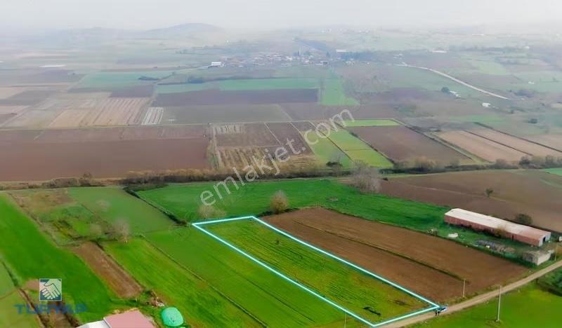 Çanakkale Biga Gemicikırı 3.192 M2 Köy İçi Satılık Tarla