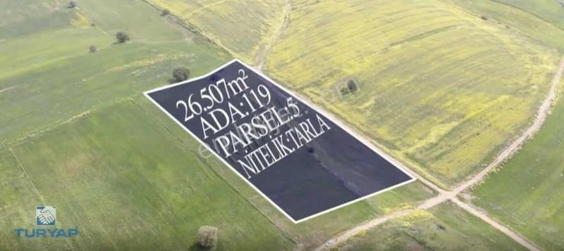 Çanakkale Biga Gümüşçayda 133.409 M² Satılık Fırsat Tarlalar - Görsel 2