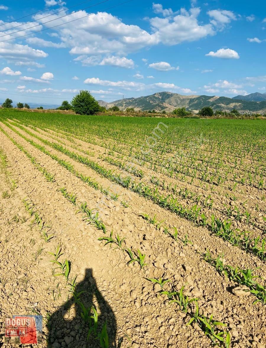 Kızılcahavlu'da Yola Cepheli 16.323 M² Satılık Tarla - Görsel 8