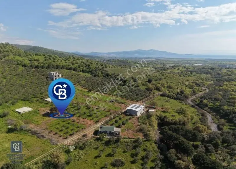 C.b. Route | Dikili Kıratlı | Satılık | Değerli Tarla Yatırımlık - Görsel 4