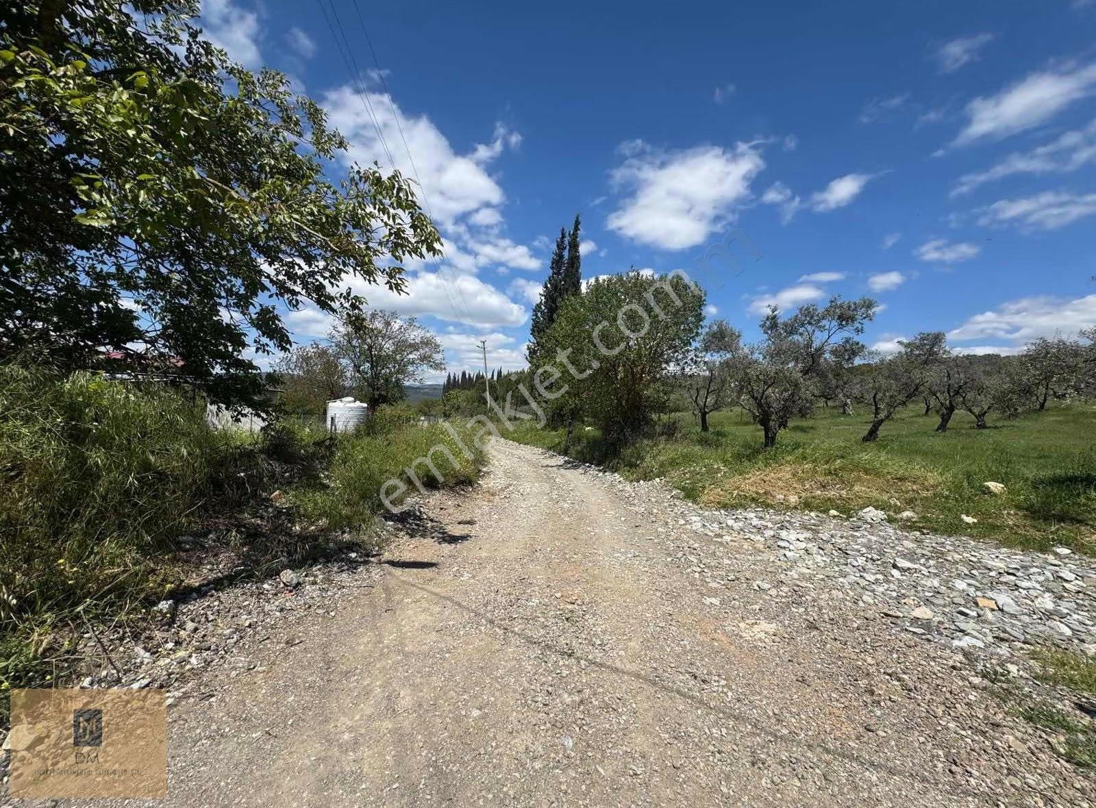 Yeşilyurt'ta Yatırımlık 8.100 M2 Fırsat Arazi - Görsel 2