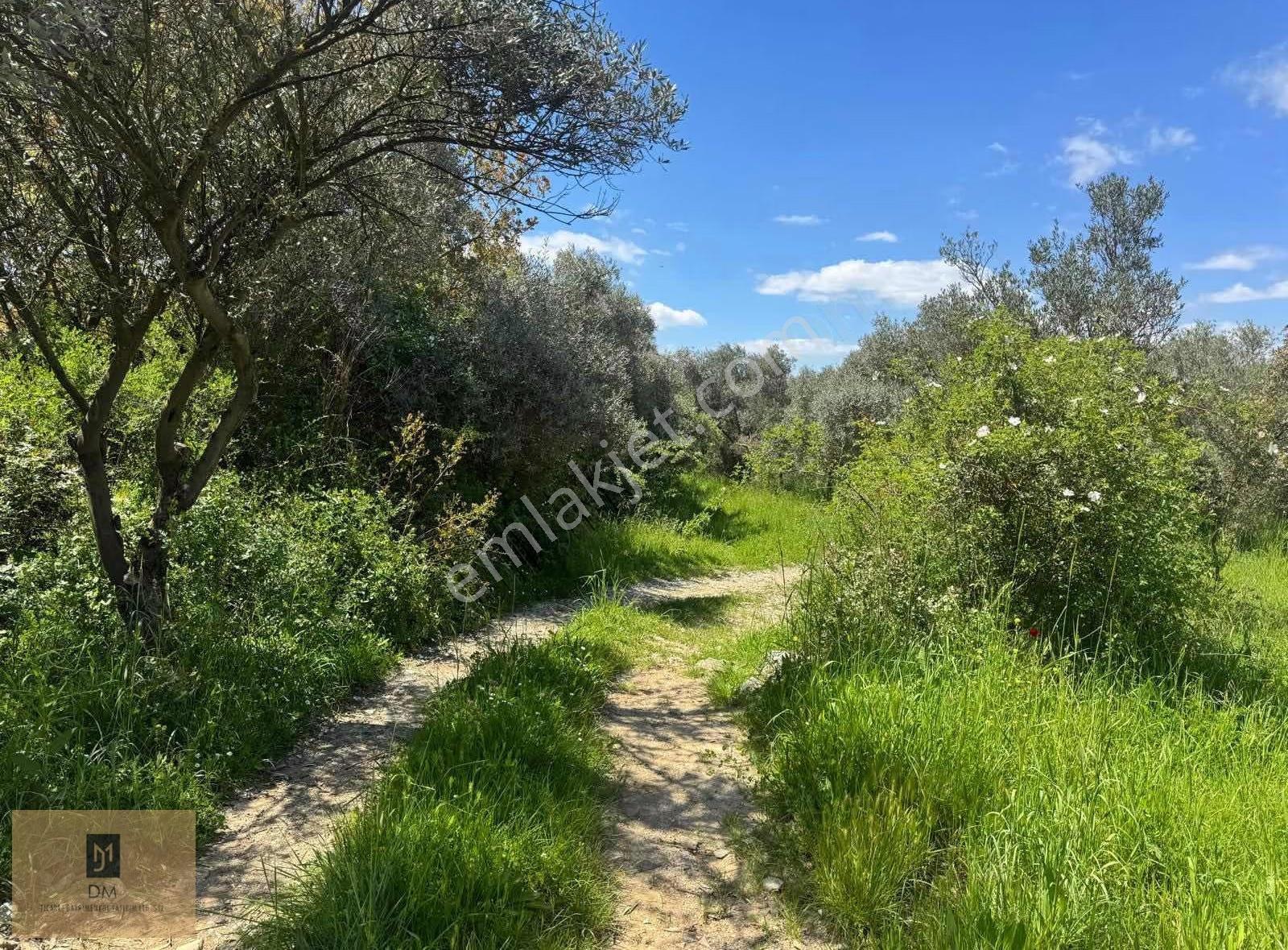 Yeşilyurt'ta Yıllık Gelir Potansiyelli 4800 M2 Satılık Tarla - Görsel 11