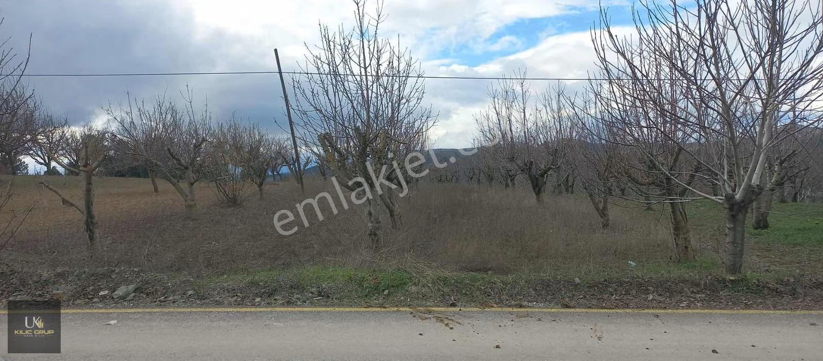 Yenipazar Kavacık Köyü Satılık Bahçe - Görsel 11