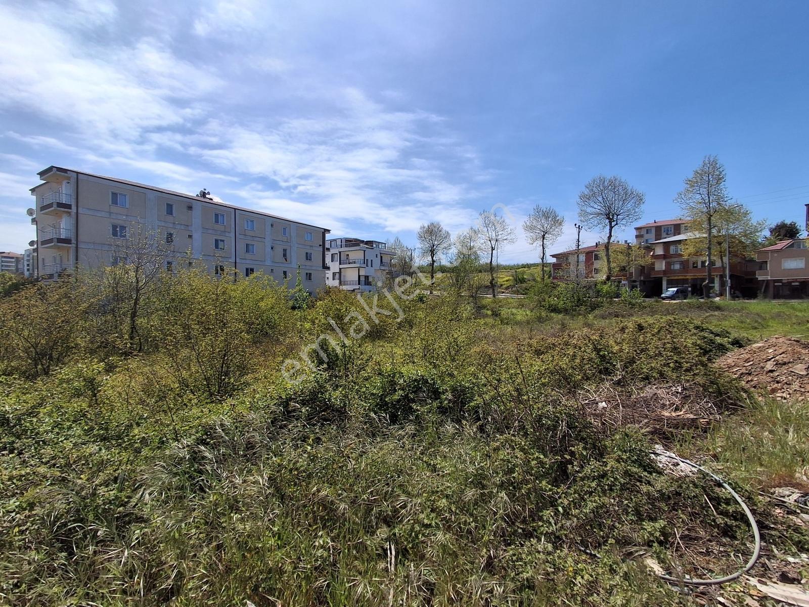 Karasu,kocaali Merkezde Kurumsal Firmalara Kiralık Arsa - Görsel 11