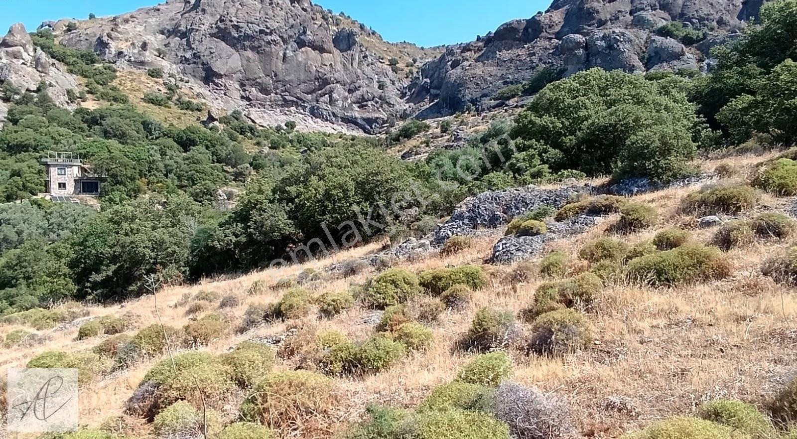 Gümüşlük Karakayada Deniz Manzaralı Arazi (4097 M2) - Görsel 8