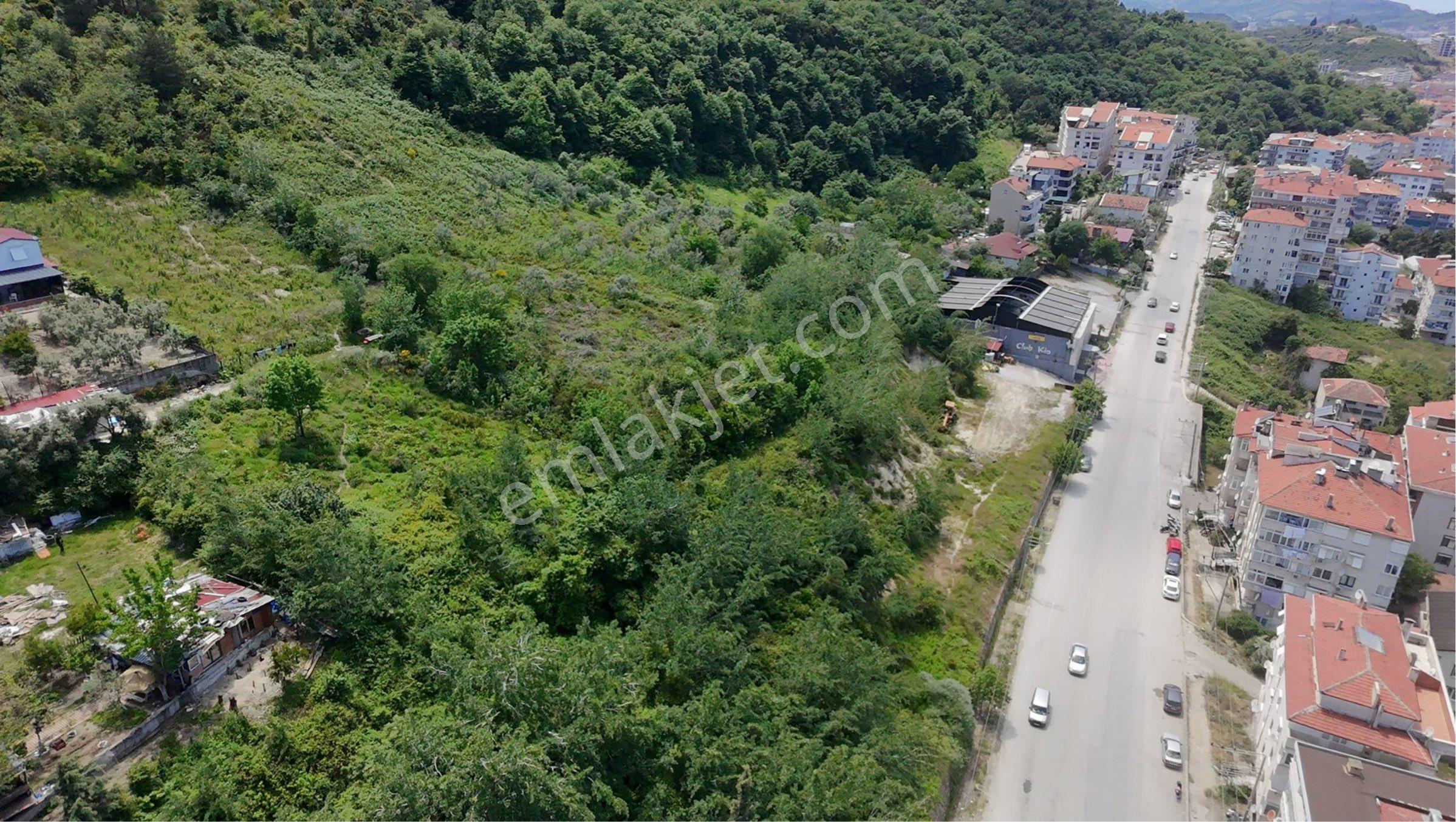 Çınarcık Merkezde Satılık Adalar Ve Deniz Manzaralı %40 Konut İmarlı 519 M2 Satılık Kupon Arsa - Görsel 10
