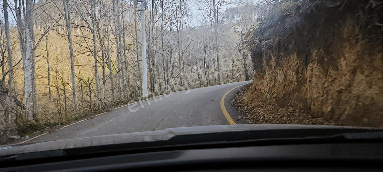 Mesire Alanına Yakın Evsane Manzara Evsane Konum Müstakil Tapu - Görsel 5