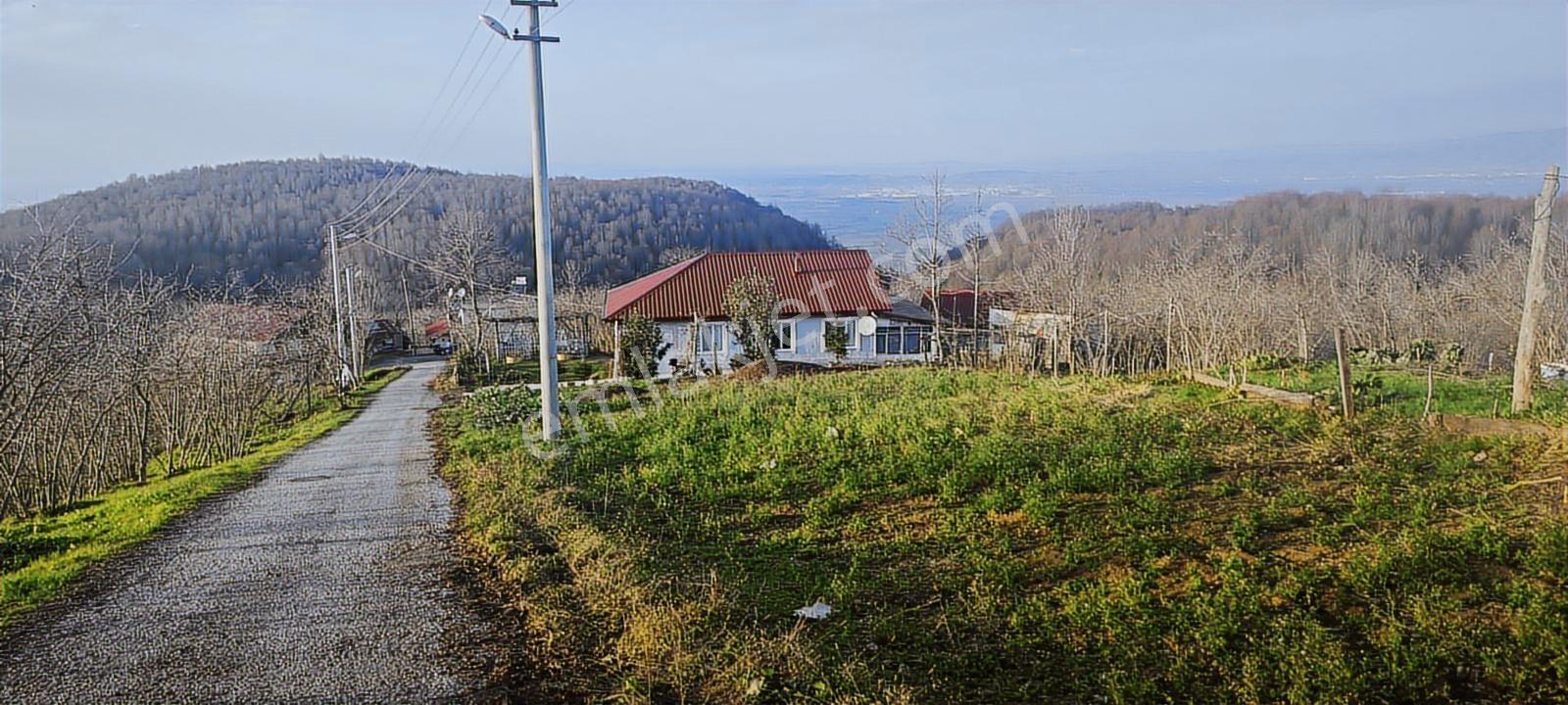 Mesire Alanına Yakın Evsane Manzara Evsane Konum Müstakil Tapu - Görsel 13