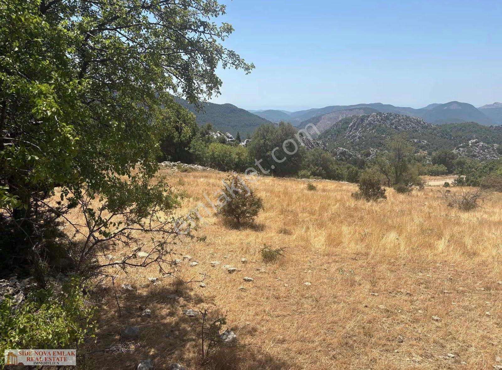 Akseki Güzelsu'da Yatırımlık 4.895 M² Satılık Tarla - Görsel 5