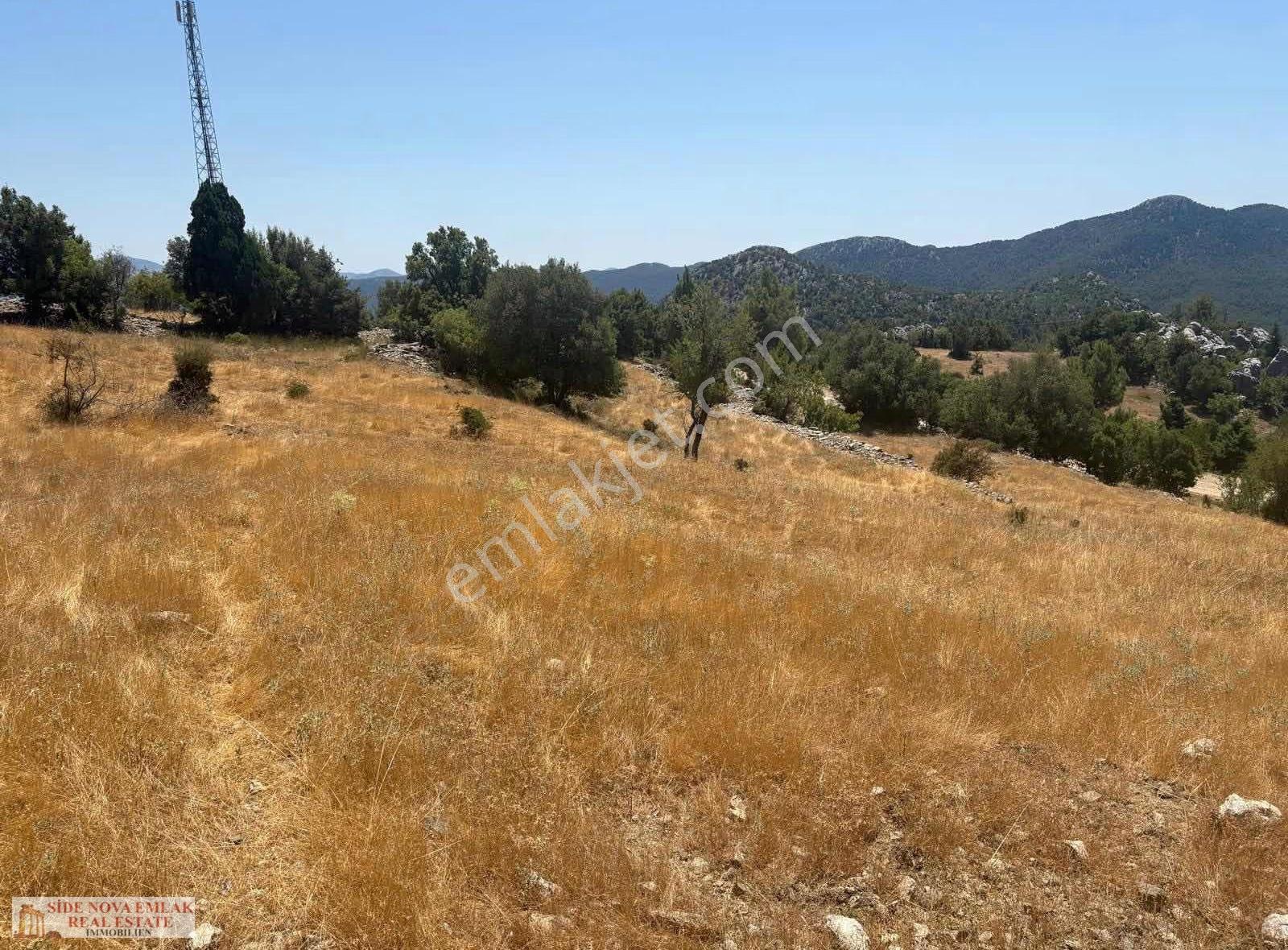 Akseki Güzelsu'da Yatırımlık 4.895 M² Satılık Tarla - Görsel 7