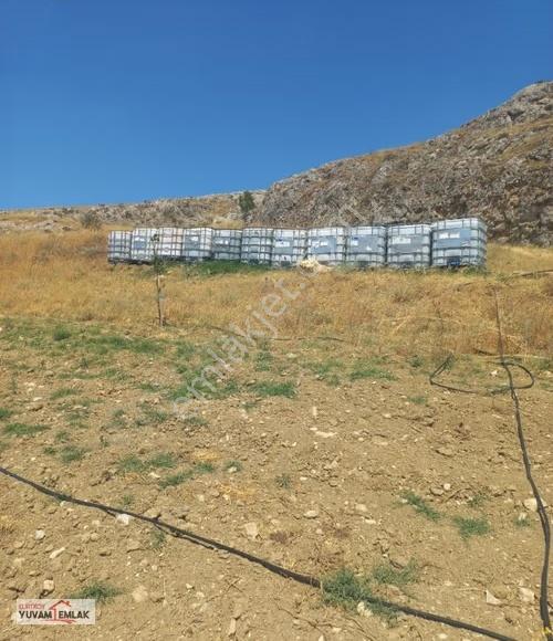 Bilecik Bozüyük Poyra Köyünde 1.547 M² Arsa/hobi Bahçesi - Görsel 6