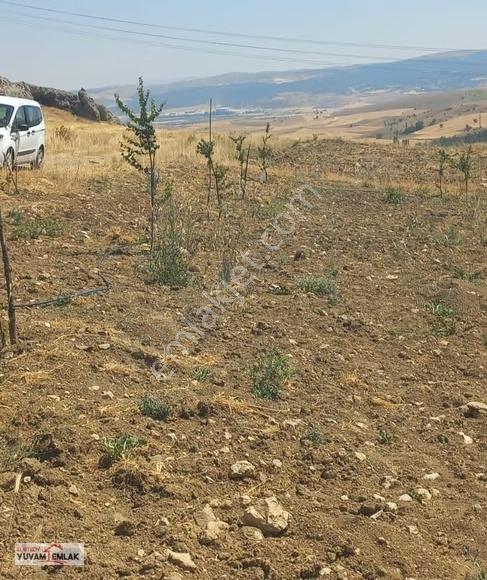 Bilecik Bozüyük Poyra Köyünde 1.547 M² Arsa/hobi Bahçesi - Görsel 4