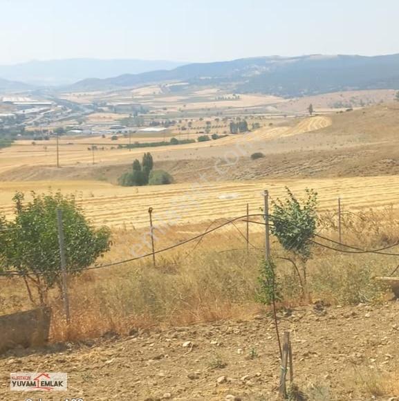Bilecik Bozüyük Poyra Köyünde 1.547 M² Arsa/hobi Bahçesi - Görsel 9