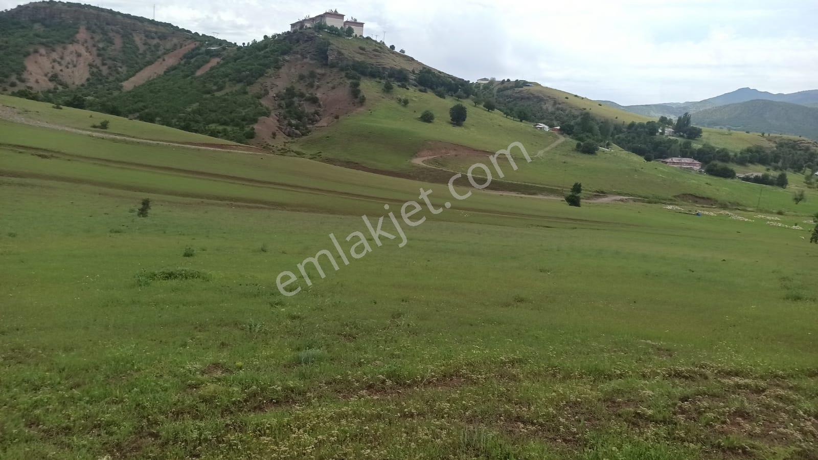 Tunceli'de Ana Yola Yakın / İnşaata Uygun Arsa Fırsatı - Görsel 6