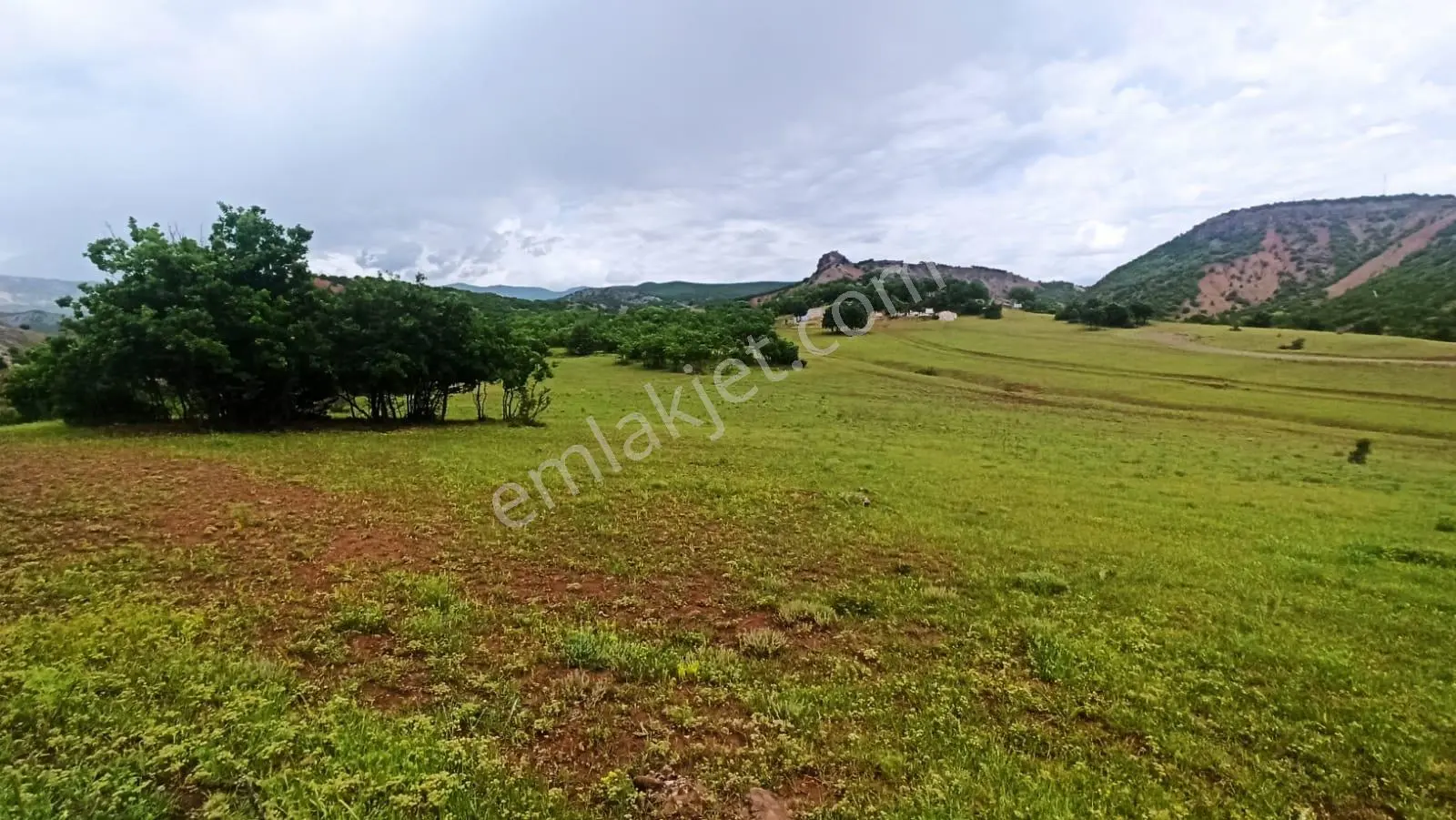 Tunceli'de Ana Yola Yakın / İnşaata Uygun Arsa Fırsatı - Görsel 5