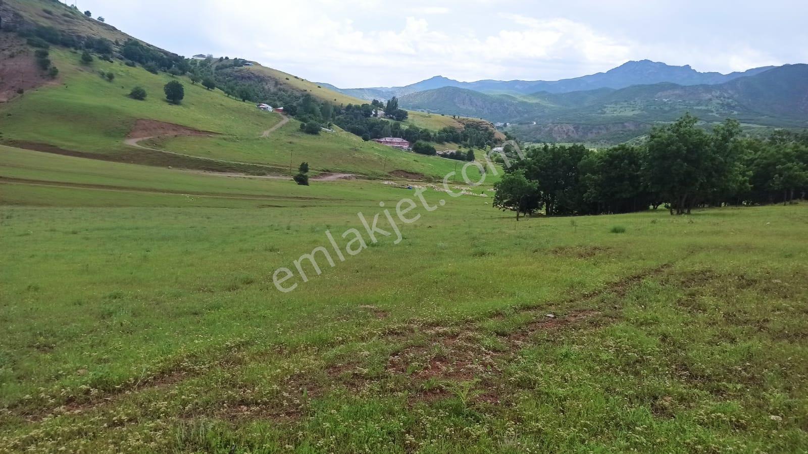 Tunceli'de Ana Yola Yakın / İnşaata Uygun Arsa Fırsatı