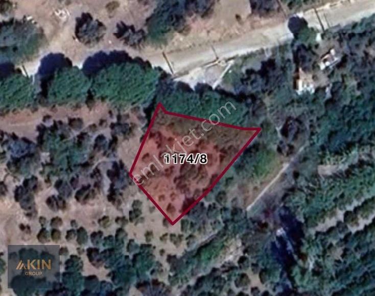 Özderede 569 M2 Bahçe Mandalin Ağaçlı