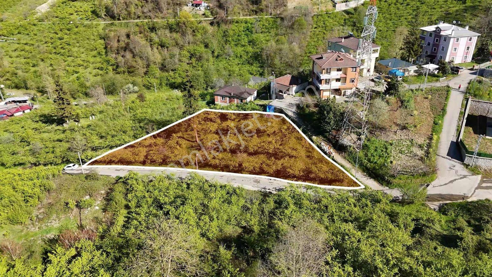 Tutkun Gayrimenkul'den Aktoprak'ta Satılık 1000m2 Fırsat Arsa - Görsel 4