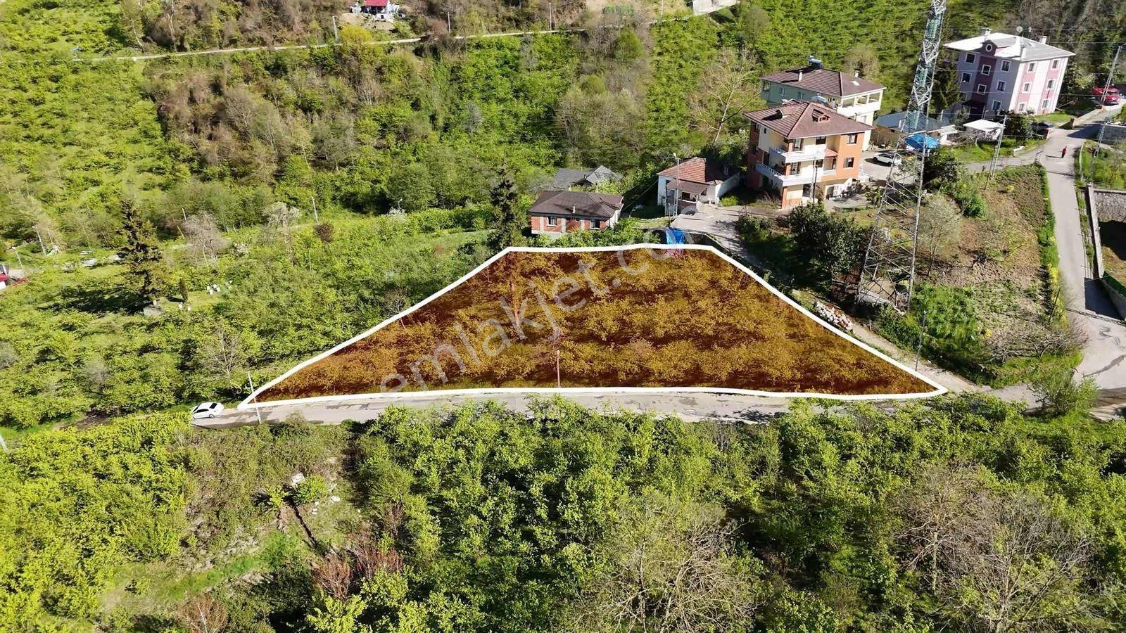 Tutkun Gayrimenkul'den Aktoprak'ta Satılık 1000m2 Fırsat Arsa