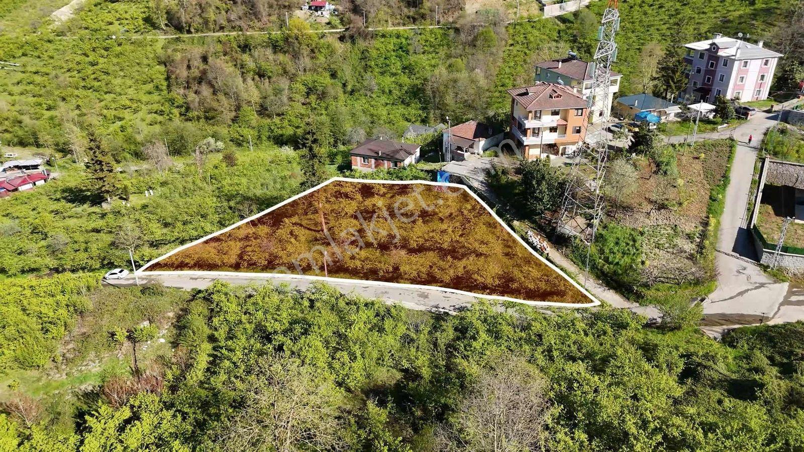 Tutkun Gayrimenkul'den Aktoprak'ta Satılık 1000m2 Fırsat Arsa - Görsel 7