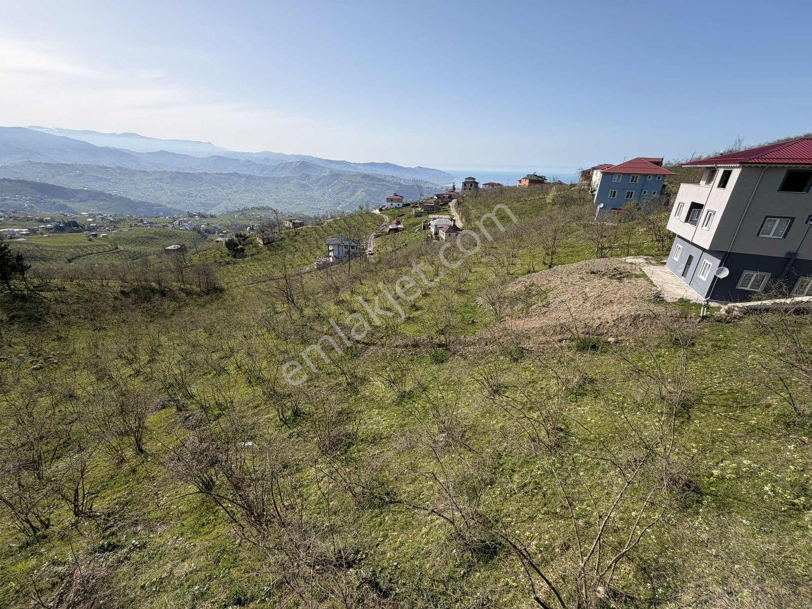 Tutkun Gayrimenkul'den Karlık'ta Satılık 1450m² Fırsat Arsa - Görsel 19