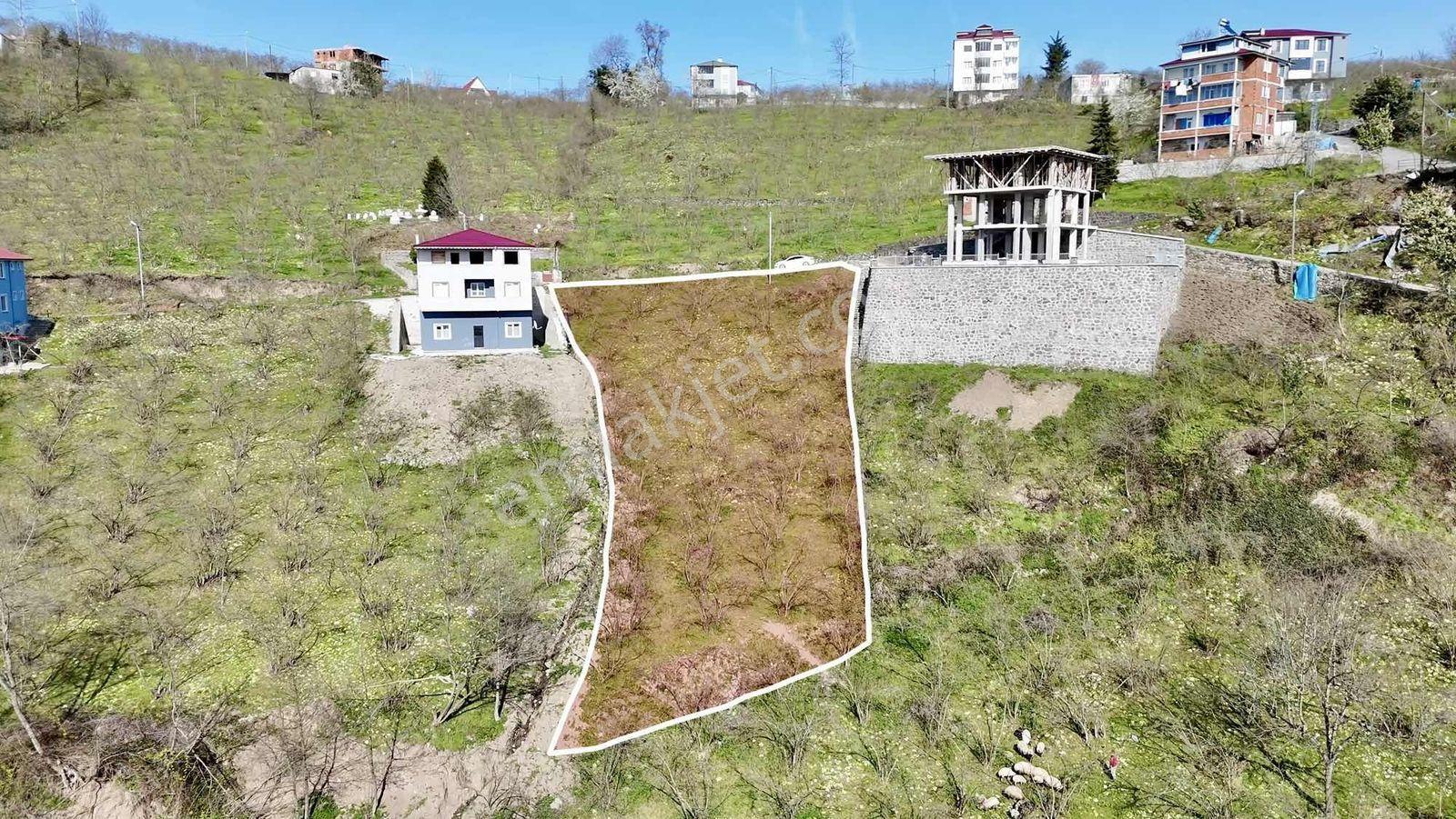 Tutkun Gayrimenkul'den Karlık'ta Satılık 1450m² Fırsat Arsa