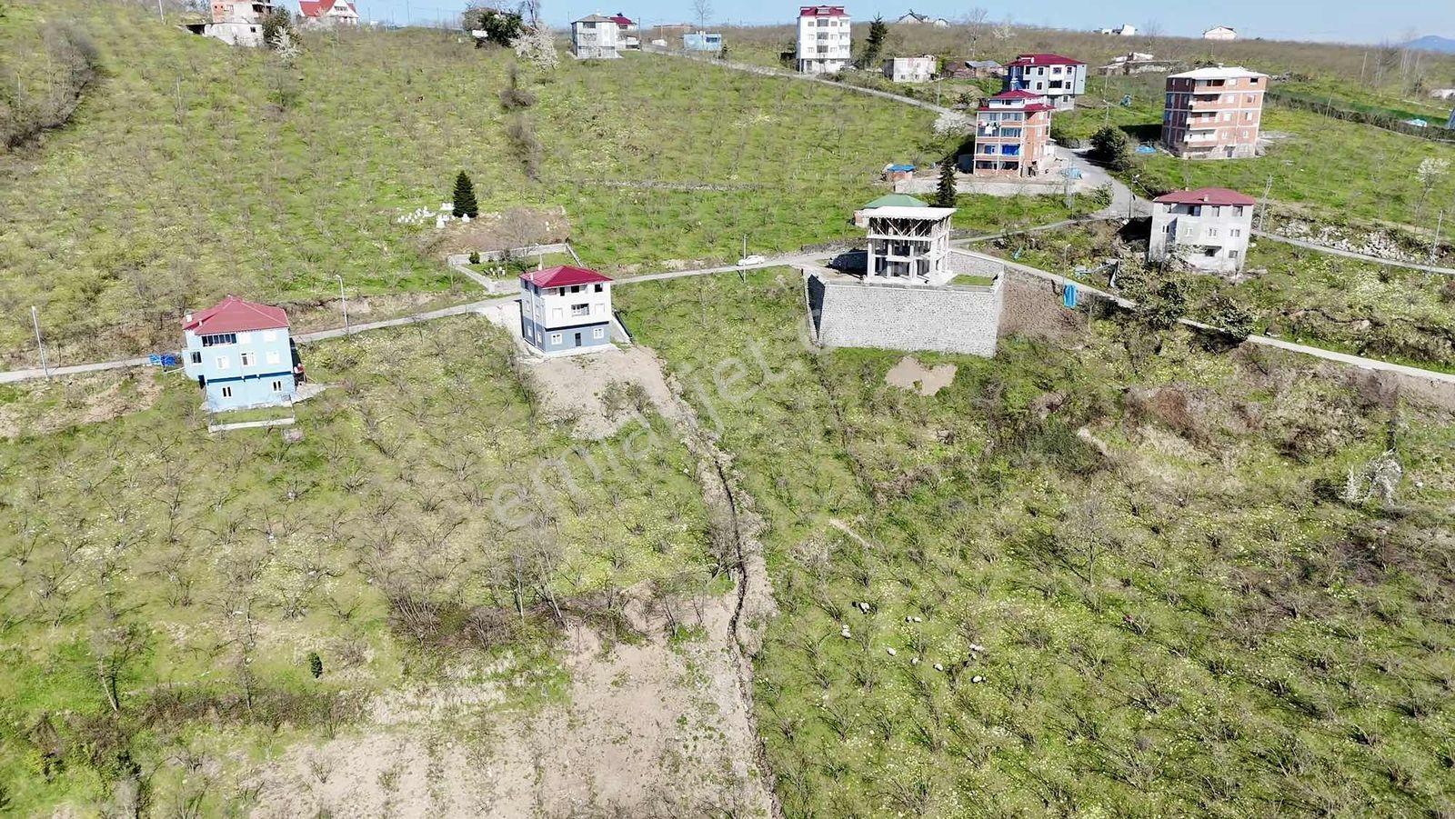 Tutkun Gayrimenkul'den Karlık'ta Satılık 1450m² Fırsat Arsa - Görsel 4
