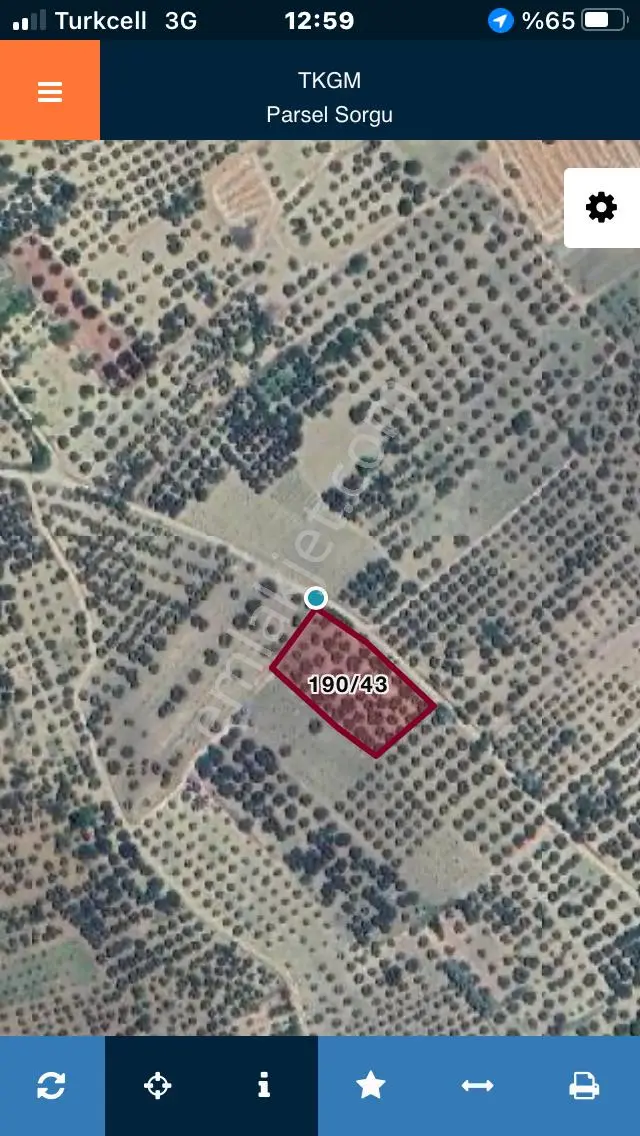 Şarköy De Işık Emlaktan İğdebağları Mah De 2400 M2 Zeytinlik - Görsel 17