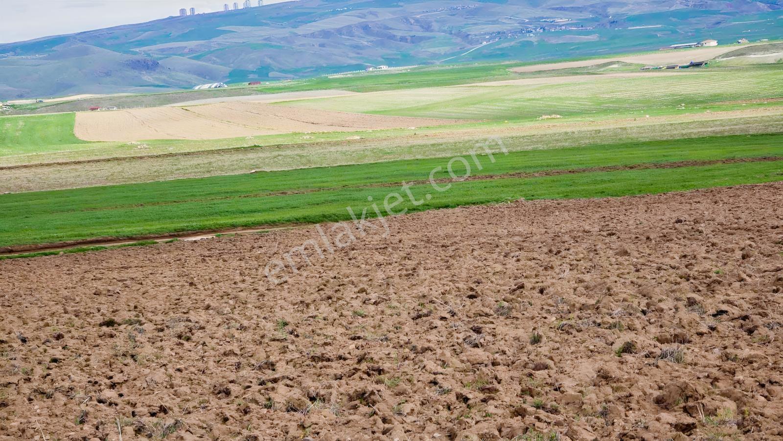 4.250m2 Resmi Kadastron Yolla Cephe Hisse Tapulu Tel Çekili - Görsel 10