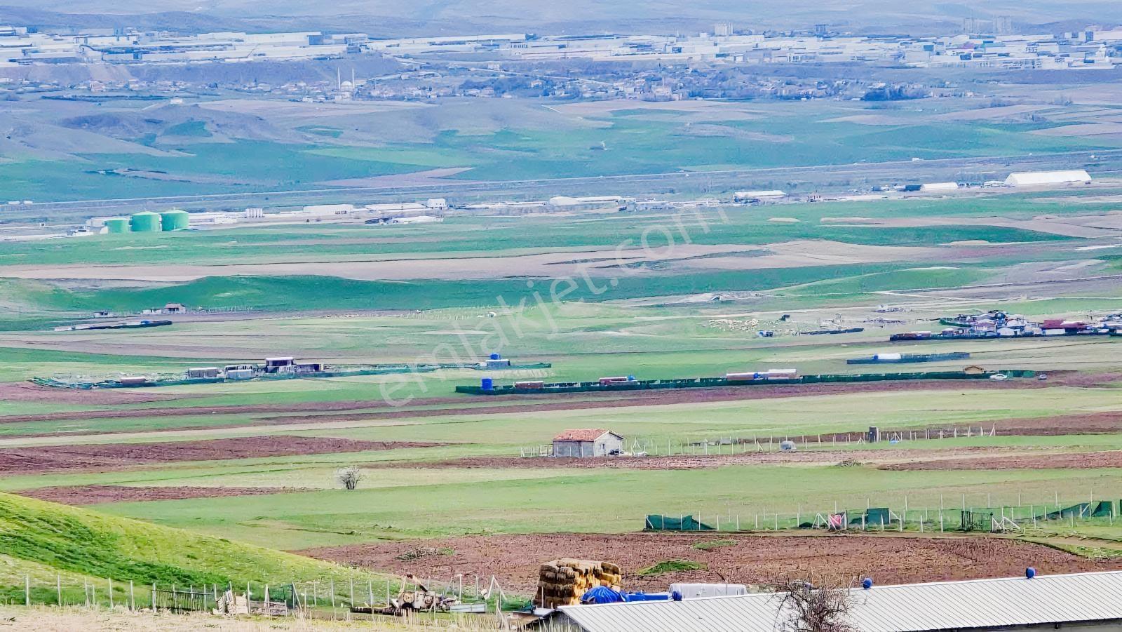 4.250m2 Resmi Kadastron Yolla Cephe Hisse Tapulu Tel Çekili