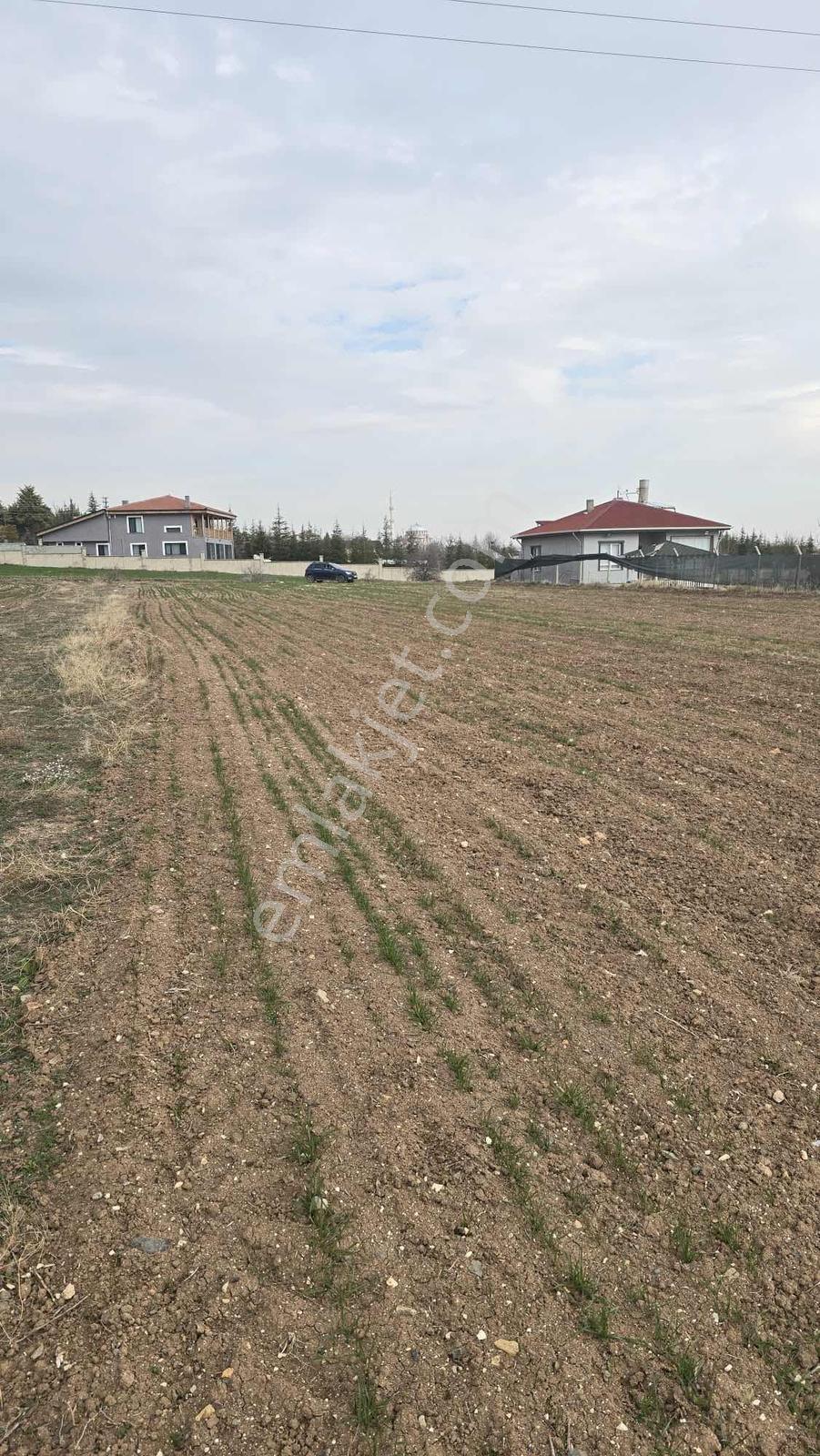 7.200m2 Bağ Tek Tapu Resmi Kadastron Yolla Cepe Ev Yapmaya Uygun - Görsel 13