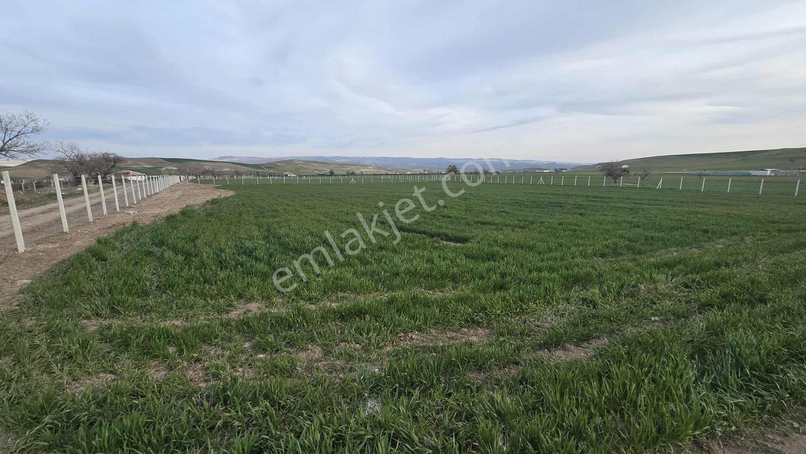 7.200m2 Bağ Tek Tapu Resmi Kadastron Yolla Cepe Ev Yapmaya Uygun - Görsel 14