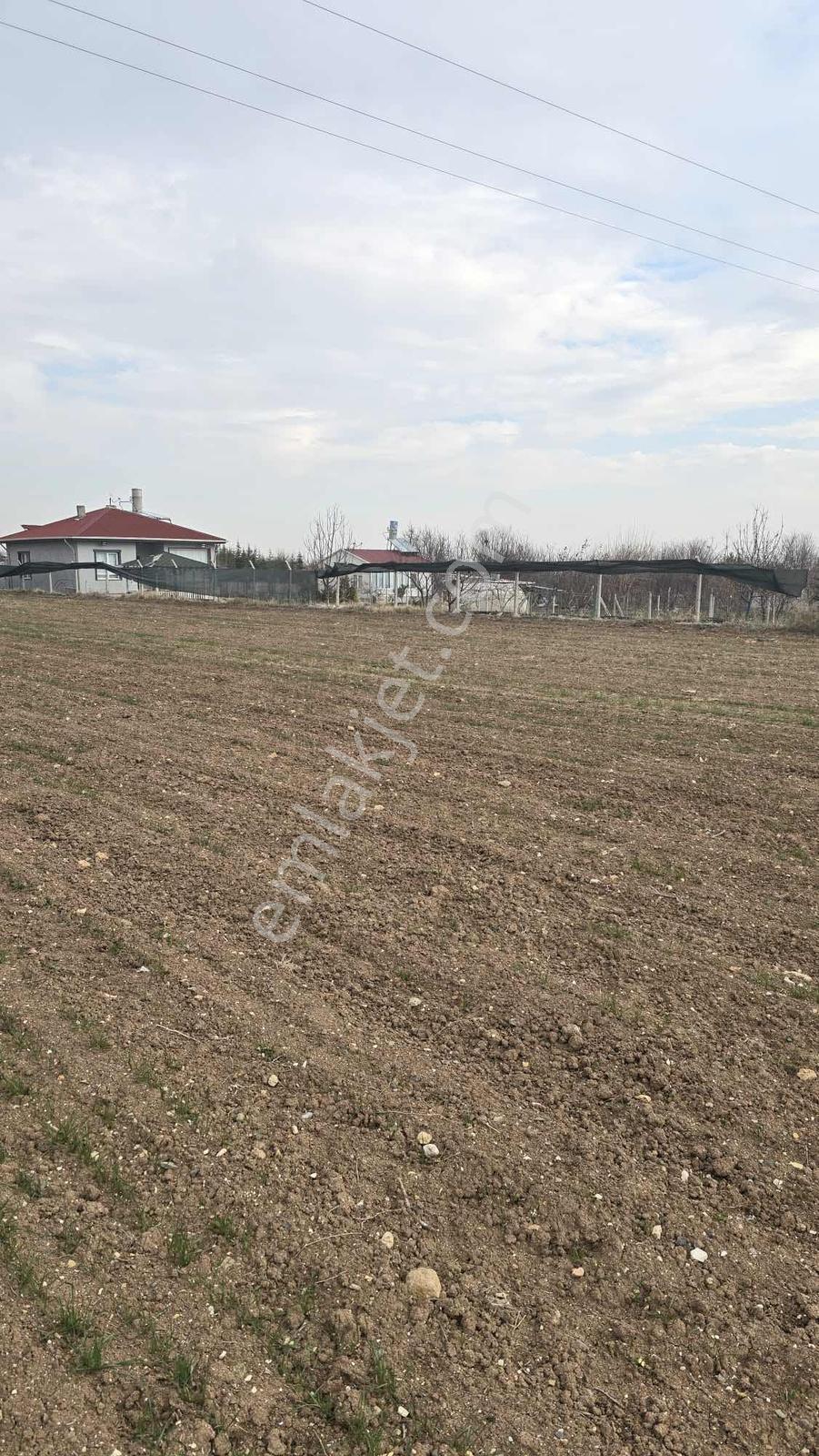 7.200m2 Bağ Tek Tapu Resmi Kadastron Yolla Cepe Ev Yapmaya Uygun - Görsel 15