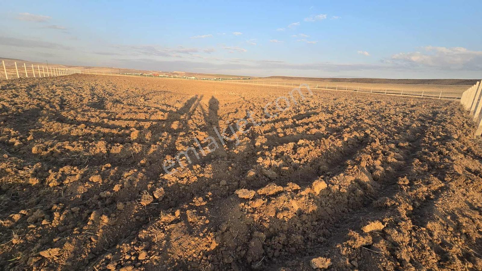 7.200m2 Bağ Tek Tapu Resmi Kadastron Yolla Cepe Ev Yapmaya Uygun - Görsel 22
