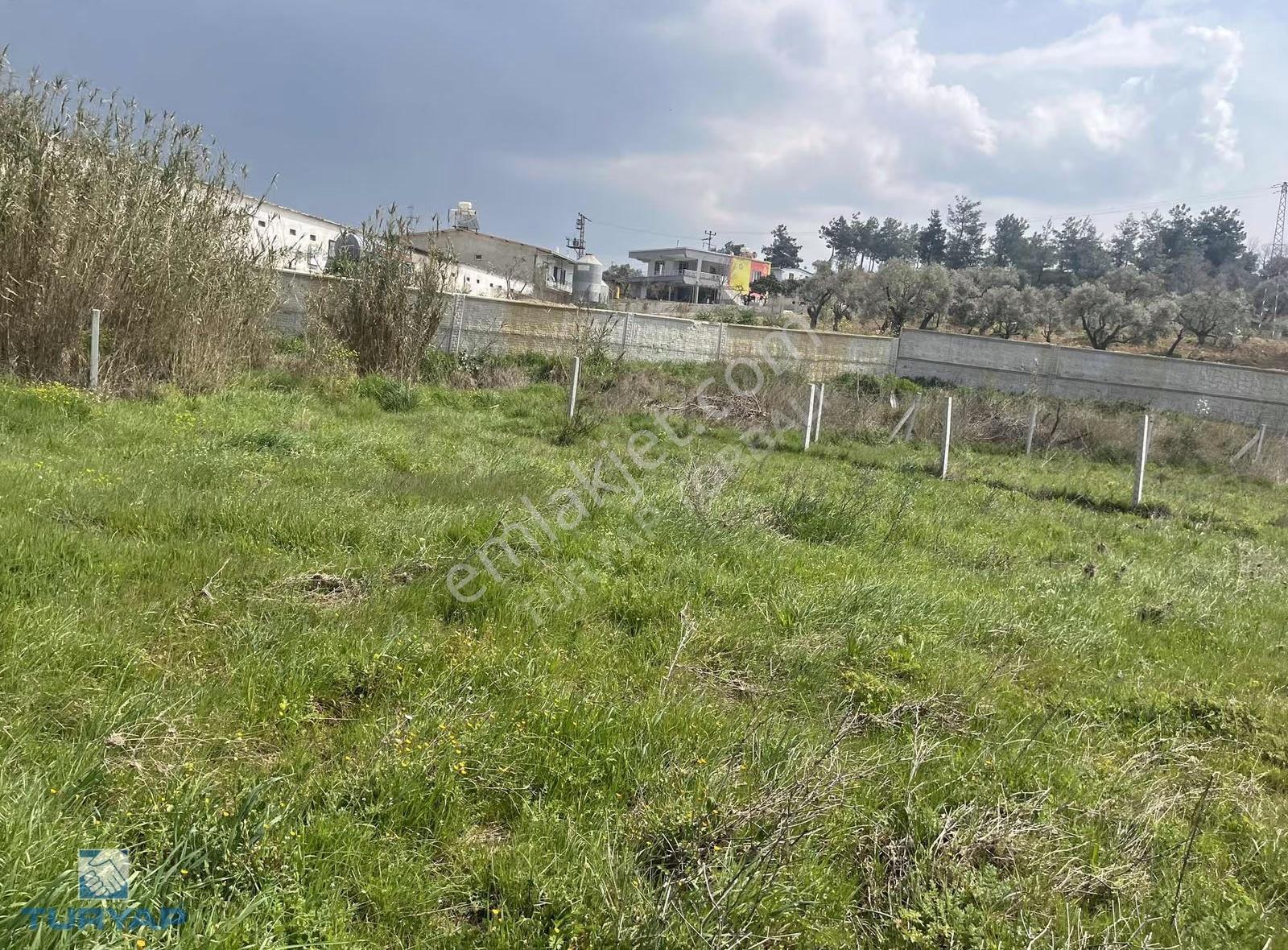 Turyap Torbalı Temsilciliğinden Dirmil Mah. 668m2 Satılık Tarla - Görsel 12