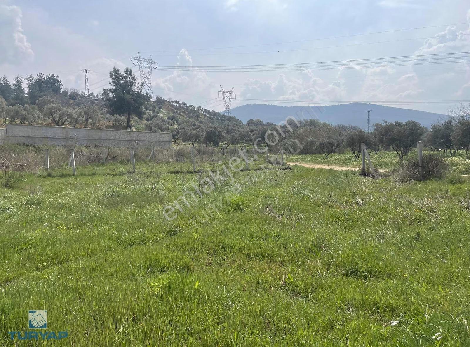 Turyap Torbalı Temsilciliğinden Dirmil Mah. 668m2 Satılık Tarla - Görsel 3