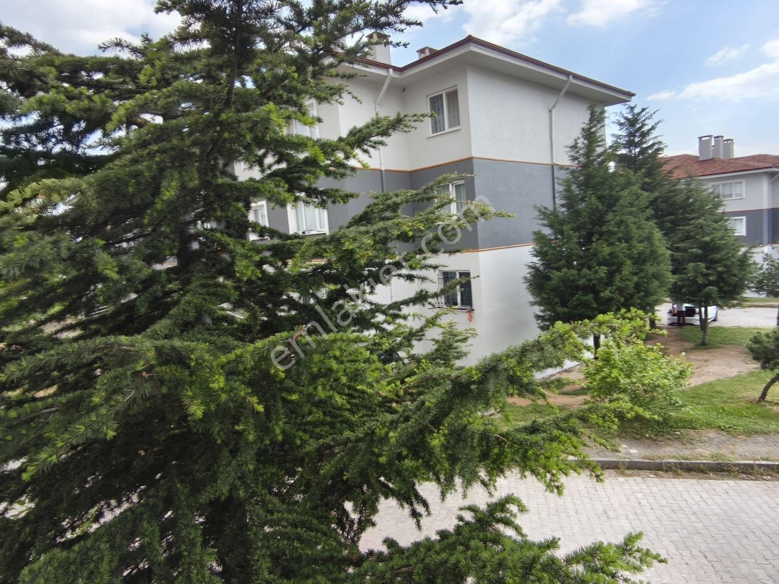 İzmit Toki Arızlı'da Kiralık 2+1 Yüksek Giriş Daire - Görsel 30