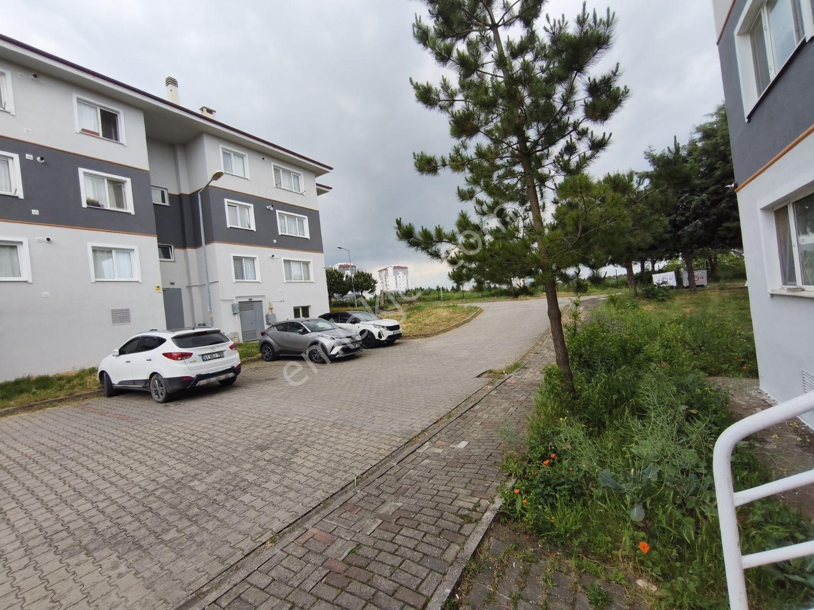İzmit Toki Arızlı'da Kiralık 2+1 Yüksek Giriş Daire - Görsel 35