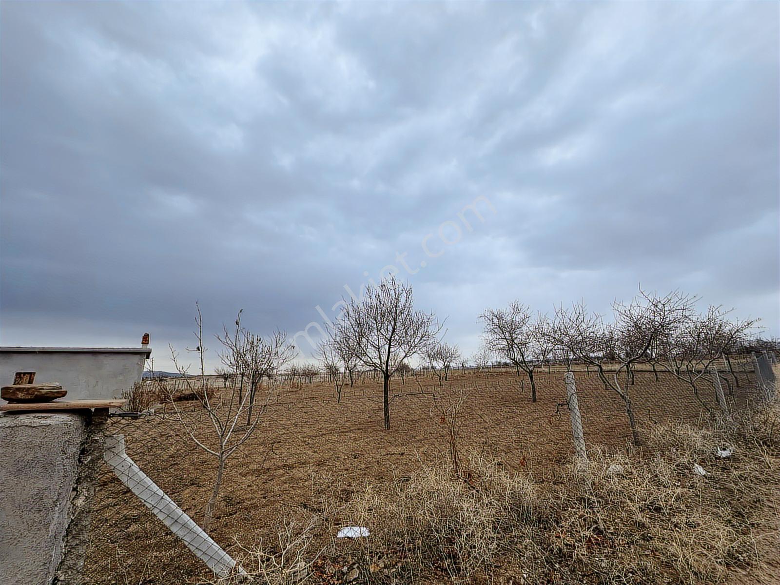 Seyitoğulları Tohumculuğun Arkasında 2706 M2 Satılık Arazi - Görsel 21